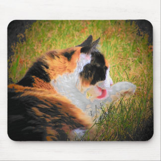 Keeping clean mouse pad