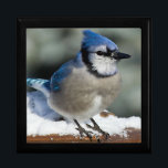 Keepsake Box Large/Blue Jay<br><div class="desc">Keepsake Box Large/Blue Jay Size Large 7.125" Square w/6" Tile Display your favourite images on a vibrant tile inlaid into the lid of this beautiful jewellery box. Made of lacquered wood, the jewellery box comes in Golden Oak, Ebony Black, Emerald Green, and Red Mahogany. Soft felt protects your jewellery and...</div>