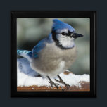 Keepsake Box Large/Blue Jay<br><div class="desc">Keepsake Box Large/Blue Jay Size Large 7.125" Square w/6" Tile Display your favourite images on a vibrant tile inlaid into the lid of this beautiful jewellery box. Made of lacquered wood, the jewellery box comes in Golden Oak, Ebony Black, Emerald Green, and Red Mahogany. Soft felt protects your jewellery and...</div>