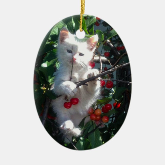 Keepsake Family Cat 1 Sided Photo Ceramic Ornament (Front)