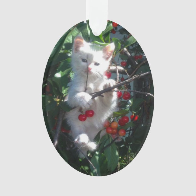 Keepsake Family Cat Photo Ornament (Front)