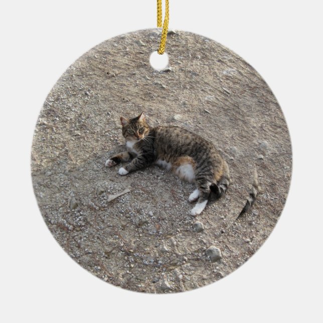 Keepsake Ornament: Tabby Cat with White Feet Ceramic Ornament (Front)