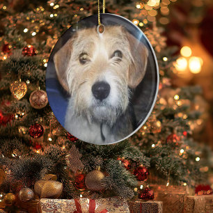 KEEPSAKE PET PHOTO With Typography Ornament