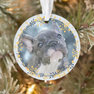Keepsake Pet Photo + Year Hanukkah Commemorative Ornament
