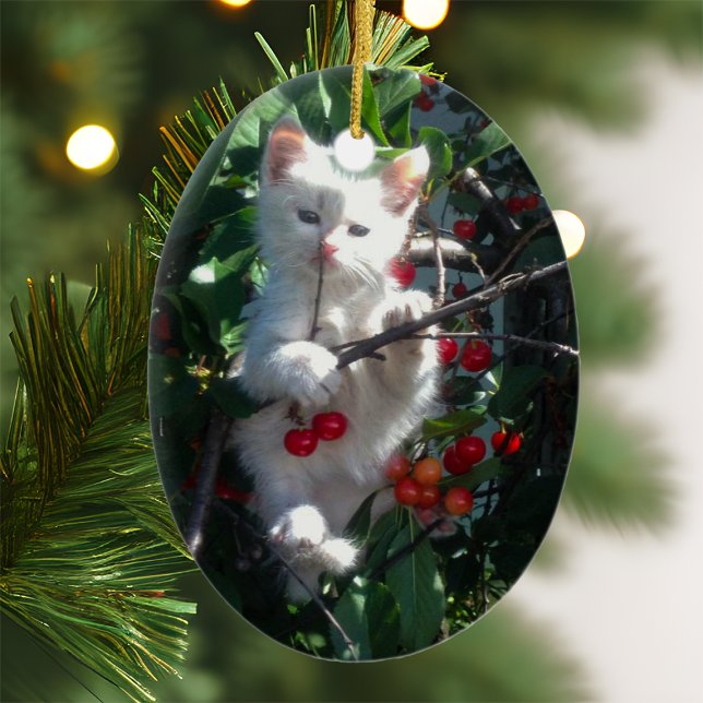 Keepsake Photo Ceramic Ornament (Creator Uploaded)