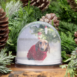 Keepsake Your Pet Dog Photo Sentimental Christmas  Snowglobe