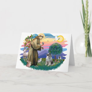 Keeshond (#2) card