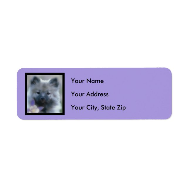 Keeshond and Columbine  - Dog Photograph (Front)