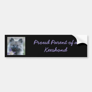 Keeshond and Columbine  - Dog Photograph Bumper Sticker