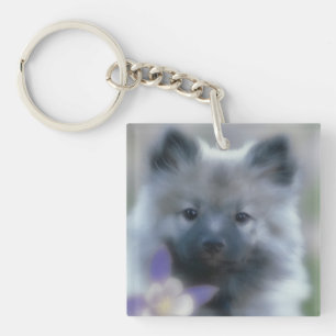 Keeshond and Columbine  - Dog Photograph Keychain