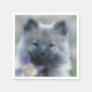 Keeshond and Columbine - Dog Photograph Napkin