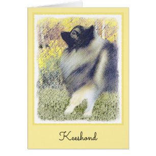 Keeshond Aspen Painting - Cute Original Dog Art