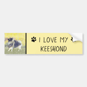 Keeshond Aspen Painting - Cute Original Dog Art Bumper Sticker