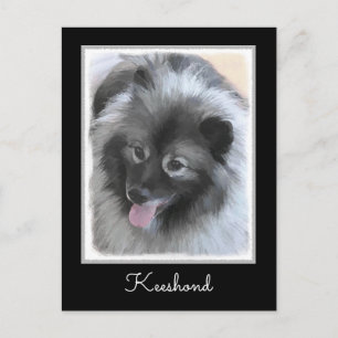 Keeshond Bailey Painting - Cute Original Dog Art Postcard