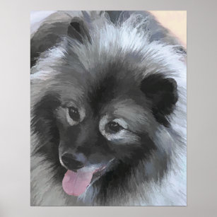 Keeshond Bailey Painting - Cute Original Dog Art Poster