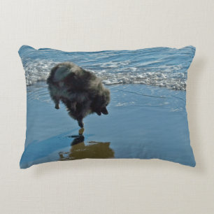 Keeshond Ballet Photograph - Cute Original Dog Art Accent Pillow