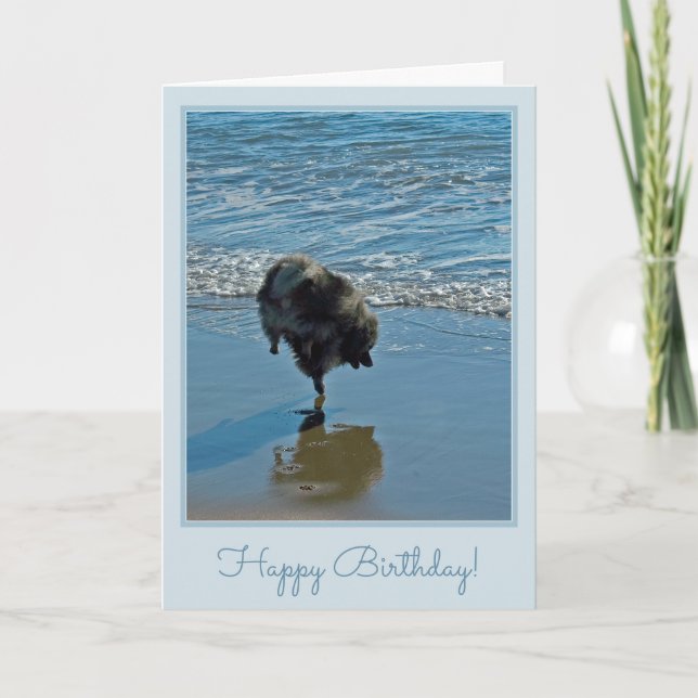 Keeshond Ballet Photograph - Cute Original Dog Art Card (Front)