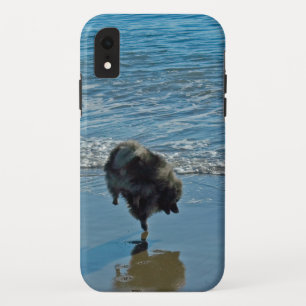 Keeshond Ballet Photograph - Cute Original Dog Art iPhone XR Case