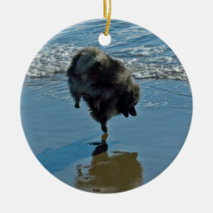 Keeshond Ballet Photograph - Cute Original Dog Art Ceramic Ornament