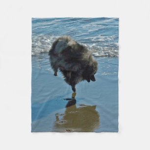 Keeshond Ballet Photograph - Cute Original Dog Art Fleece Blanket