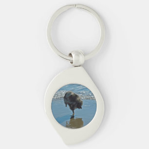 Keeshond Ballet Photograph - Cute Original Dog Art Keychain