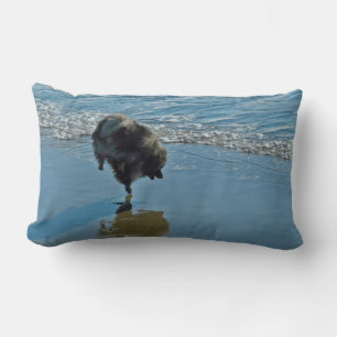 Keeshond Ballet Photograph - Cute Original Dog Art Lumbar Pillow