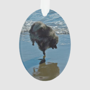 Keeshond Ballet Photograph - Cute Original Dog Art Ornament