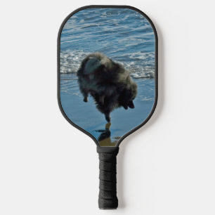 Keeshond Ballet Photograph - Cute Original Dog Art Pickleball Paddle