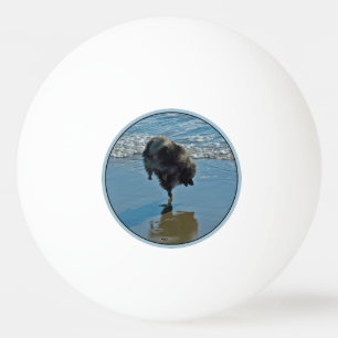 Keeshond Ballet Photograph - Cute Original Dog Art Ping Pong Ball