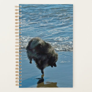 Keeshond Ballet Photograph - Cute Original Dog Art Planner