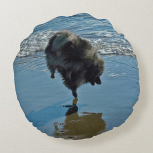 Keeshond Ballet Photograph - Cute Original Dog Art Round Pillow