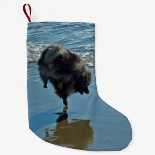 Keeshond Ballet Photograph - Cute Original Dog Art Small Christmas Stocking