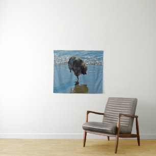 Keeshond Ballet Photograph - Cute Original Dog Art Tapestry
