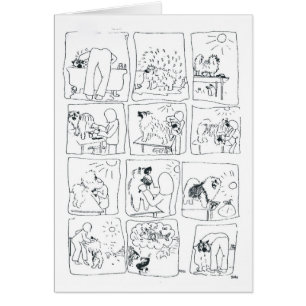 Keeshond Bathtime comique