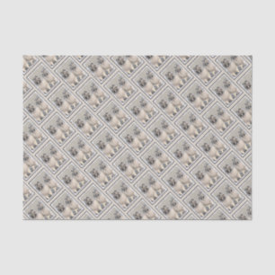 Keeshond Brothers Painting - Original Dog Art Tissue Paper