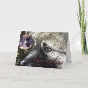 Keeshond Christmas card