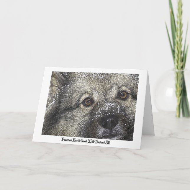 Keeshond Christmas card (Front)