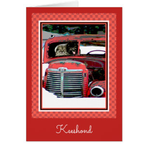 Keeshond Christmas Old Truck Painting Dog Art