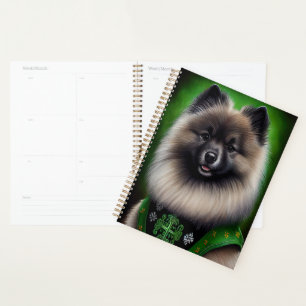 Keeshond Dog en tenue de jour St. Patrick
