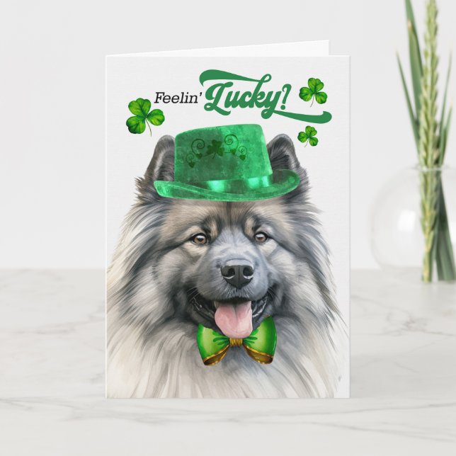 Keeshond Dog Feelin' Lucky St Patrick's Day Holiday Card (Front)