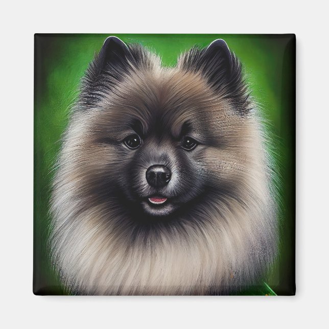 Keeshond Dog in St. Patrick's Day Dress Magnet (Front)