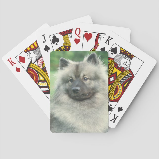 Keeshond Dog Playing Cards (Back)