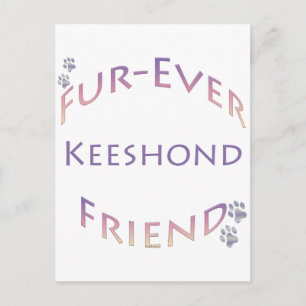 Keeshond Furever Postcard