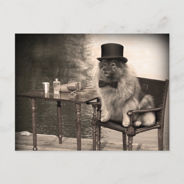 Keeshond Gentleman's Afternoon Postcard (Front)