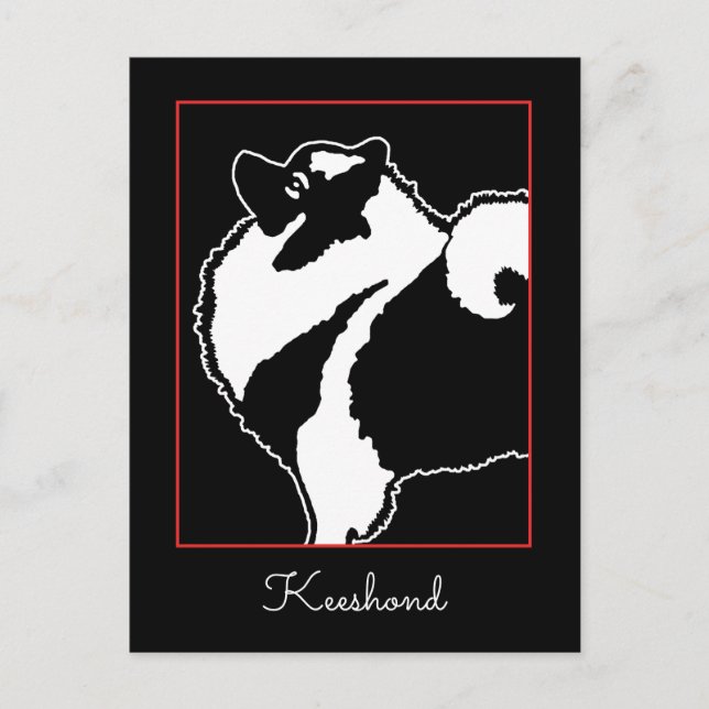 Keeshond Graphics  - Cute Original Dog Art Postcard (Front)