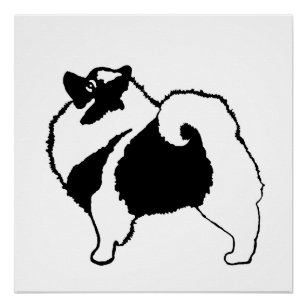 Keeshond Graphics  - Cute Original Dog Art Poster