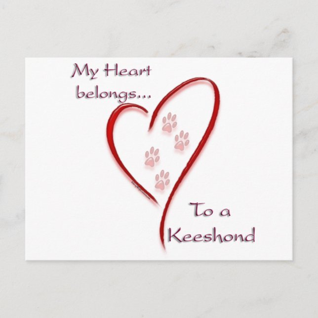 Keeshond Heart Belongs Postcard (Front)