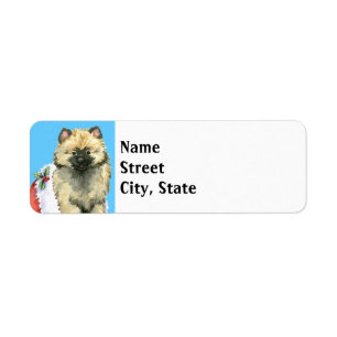 Keeshond heureux de Howlidays