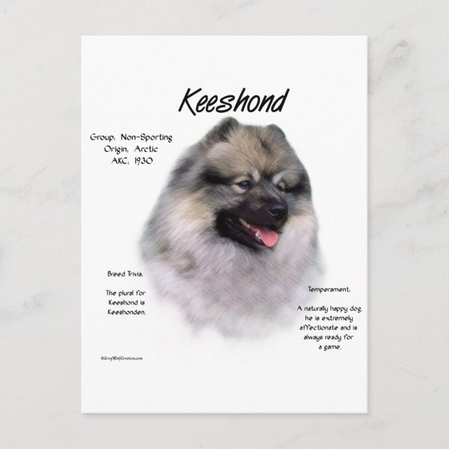 Keeshond History Design Postcard (Front)