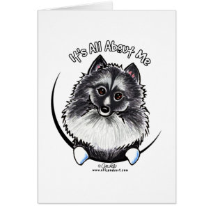 Keeshond IAAM